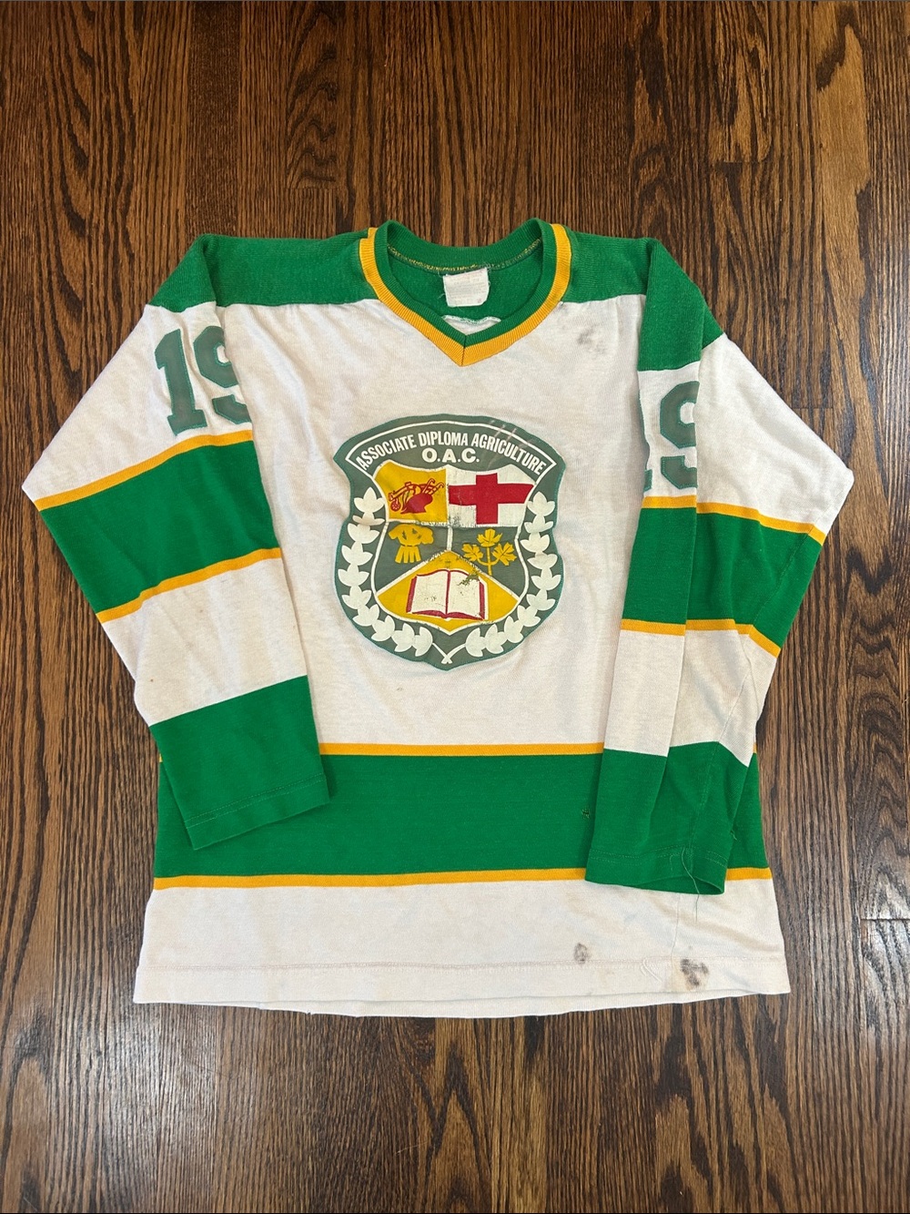 Vintage 70s Distressed Hockey Jersey